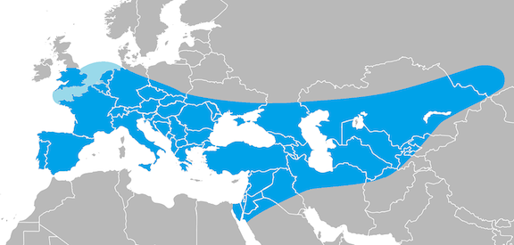 Área de expansión del Neandertal