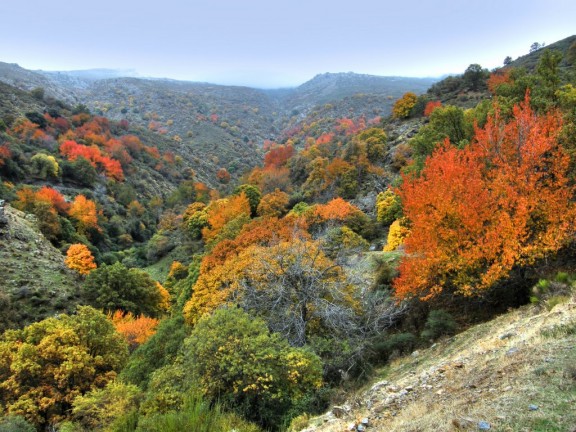 Valle serrano en otoño